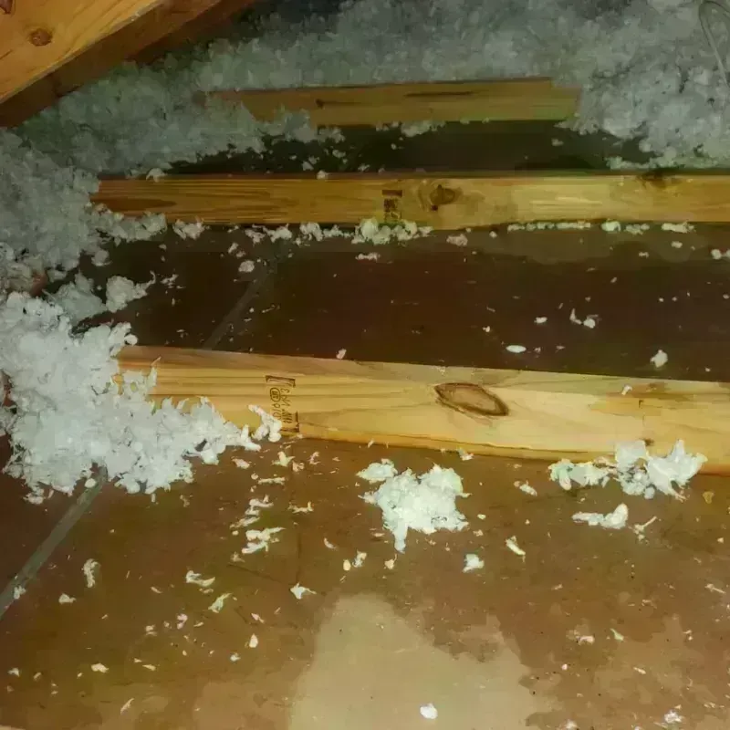 Attic Water Damage in Titusville, FL