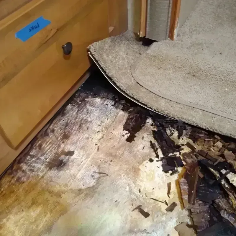 Wood Floor Water Damage in Titusville, FL